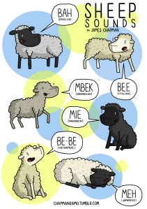 ChapmanSheep